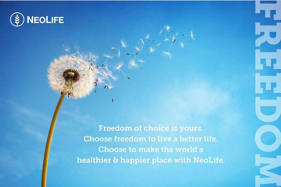 Become a Business Owner