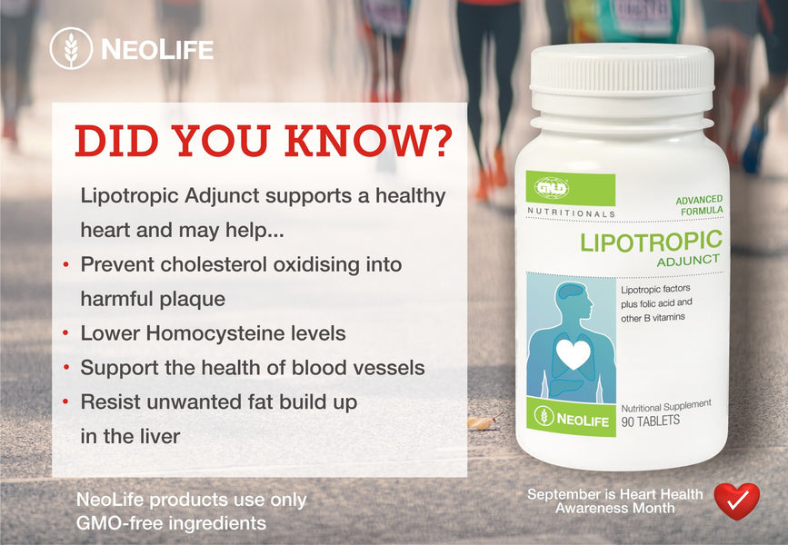 Lipotropic Adjunct Supports a Healthy Heart