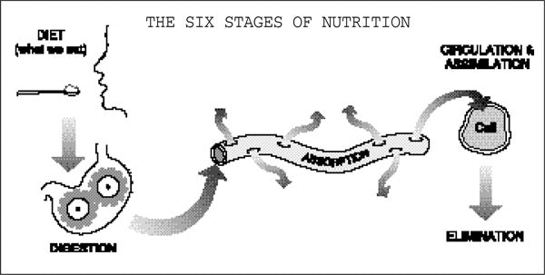 Difference between Diet and Nutrition