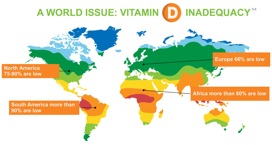 The Fascinating Link Between Vitamin D and the Immune System